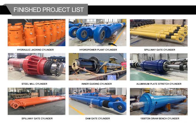 Test di pressione al 100% cilindro idraulico marino a doppia azione per gru navali 6