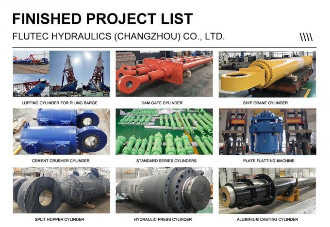 Doppia azione cilindro idraulico marino 100% prova di pressione DNV ISO9001 approvato 6