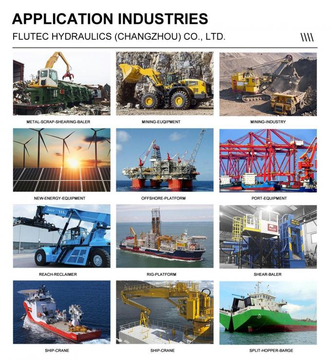 Silindro idraulico a grande foratura a lungo tratto 40Mpa per l'industria del riciclaggio 4